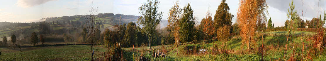 Broadenham View