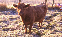 lep 29022012