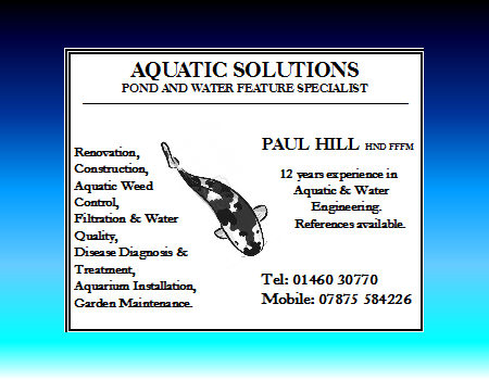 Paul Hill2013
