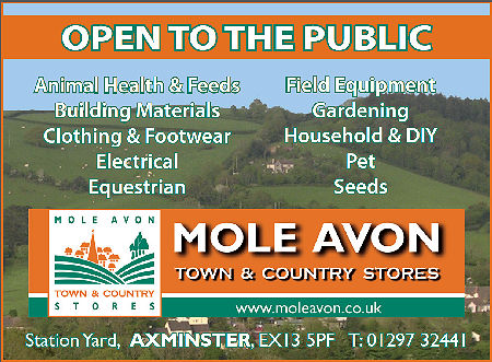 Mole Avon